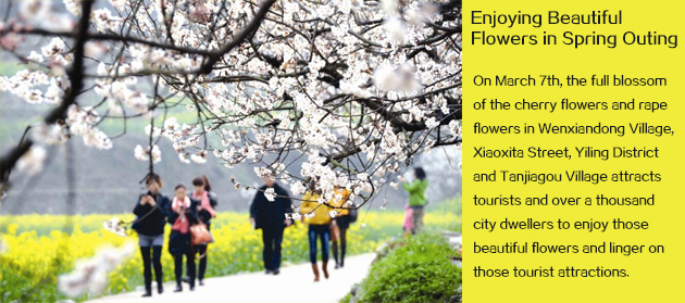 Enjoying Beautiful Flowers in Spring Outing