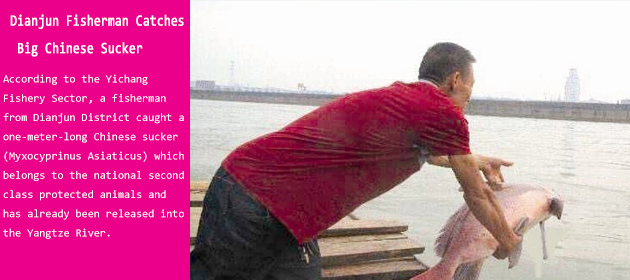 Dianjun Fisherman Catches Big Chinese Sucker