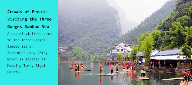 Crowds of People Visiting the Three Gorges Bamboo Sea