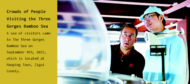 German Experts Testing Huaqiang Technology