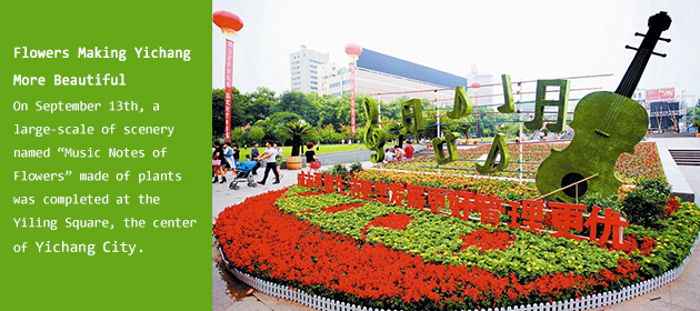 Flowers Making Yichang More Beautiful