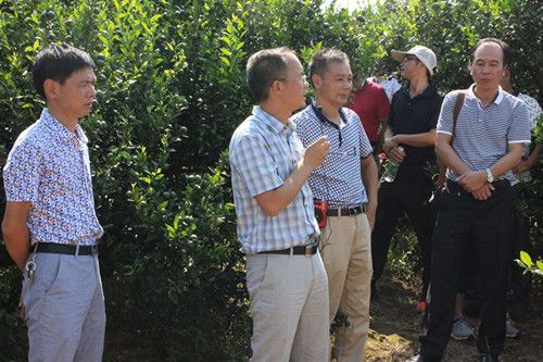 20160829151552896.jpg 2_副本.jpg