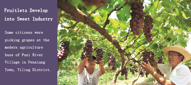 Fruitlets Develop into Sweet Industry