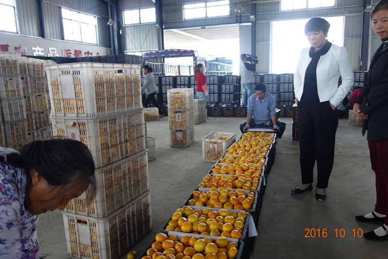 20161012091858188.jpg DSC04362_副本.jpg