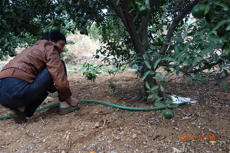 20161012091912265.jpg DSC04357_副本.jpg