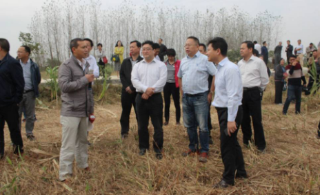 20161011145111596.png 图片1.png