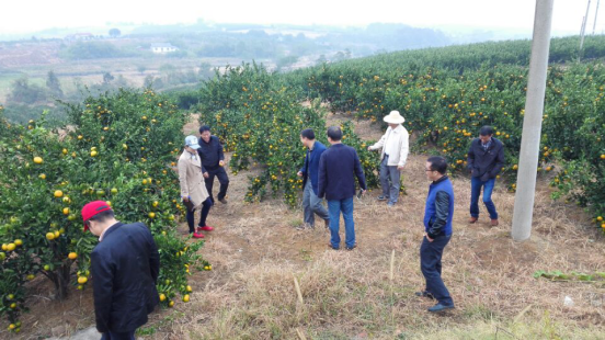 20161017085532405.png 图片1.png