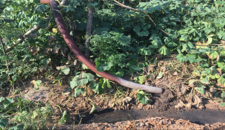 20161017084354970.png 图片2.png