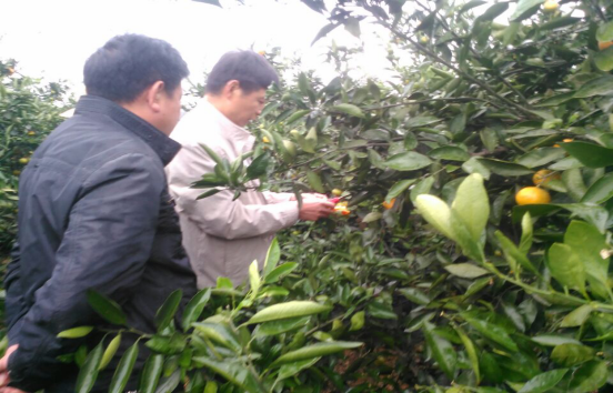 20161017085543592.png 图片2.png