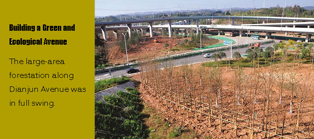 Building a Green and Ecological Avenue