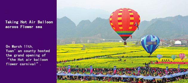Taking Hot Air Balloon across Flower sea