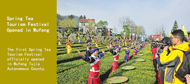 Spring Tea Tourism Festival Opened in Wufeng