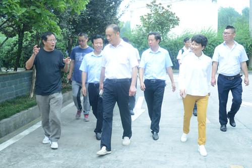 印遇龙院士（左一）在宜昌市畜牧局局长沈洪学（左四）、夷陵区委常委、副区长万犁昌（右二）陪同下调研湖北俏牛儿牧业公司_副本.jpg